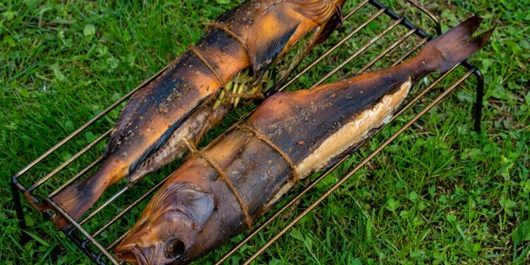 grill z wedzarnia